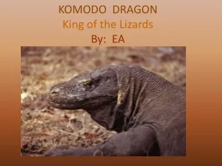 KOMODO  DRAGON King of the Lizards By:  EA