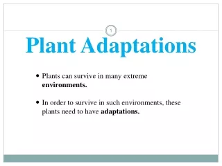 Plant Adaptations