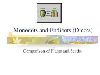 Monocots and Eudicots (Dicots)
