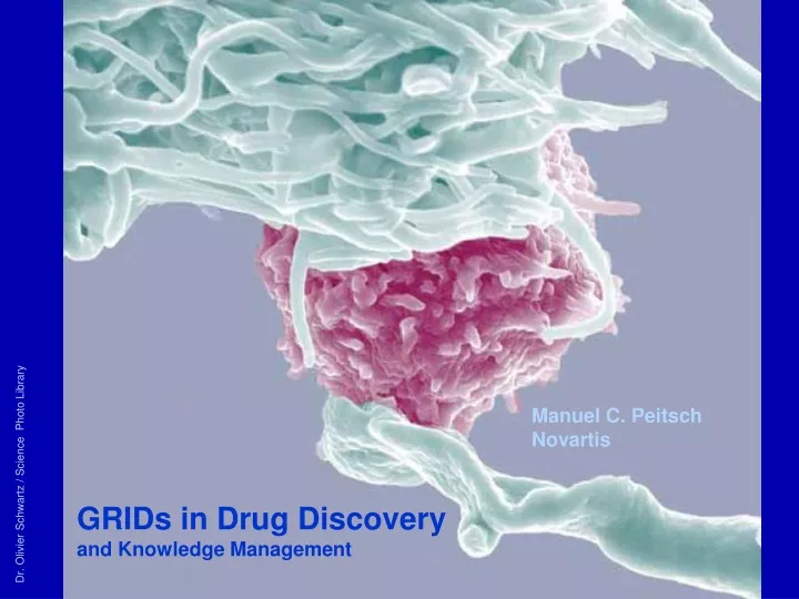 grids in drug discovery and knowledge management