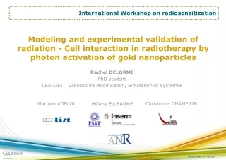 International Workshop on radiosensitization