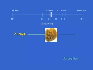 Long Wave			               IR  Visible      UV      X-rays	                       Gamma rays