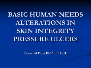 BASIC HUMAN NEEDS ALTERATIONS IN SKIN INTEGRITY PRESSURE ULCERS