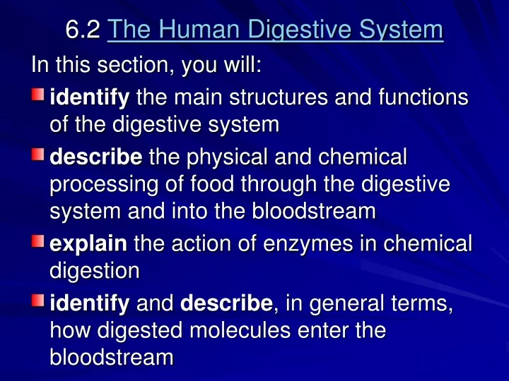 6 2 the human digestive system