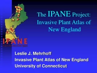 The  IPANE  Project:                      Invasive Plant Atlas of  New England