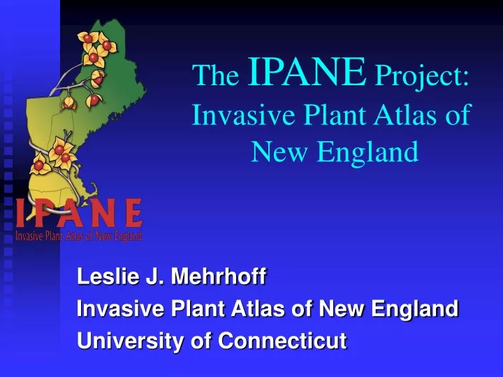 the ipane project invasive plant atlas of new england