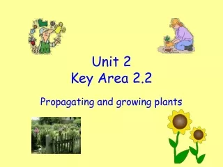 Unit 2 Key Area 2.2