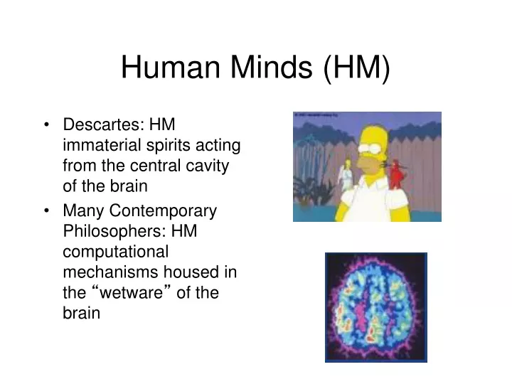 human minds hm