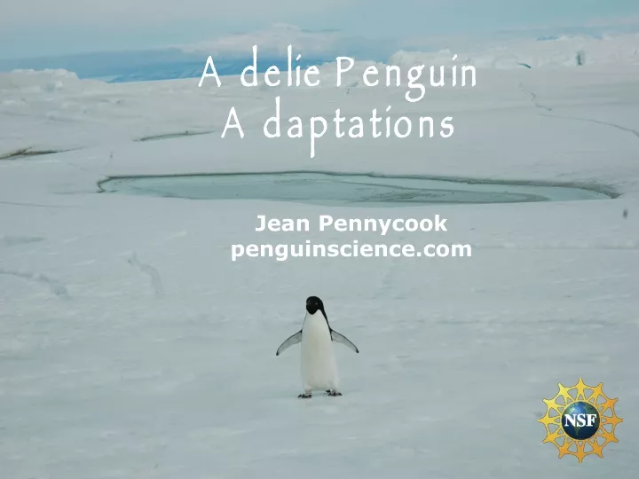 adelie penguin adaptations