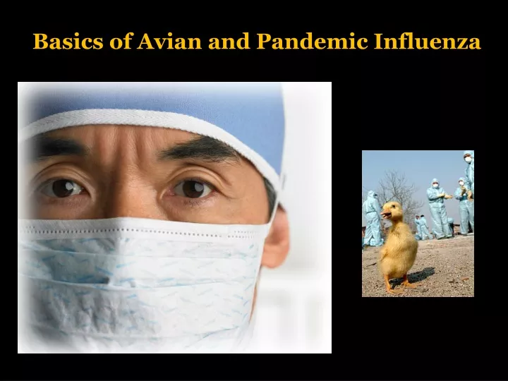 basics of avian and pandemic influenza