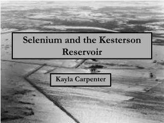Selenium and the Kesterson Reservoir