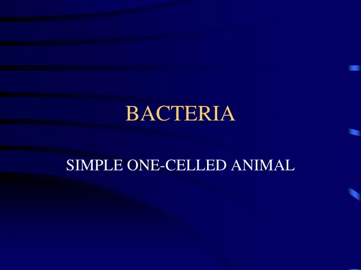 bacteria