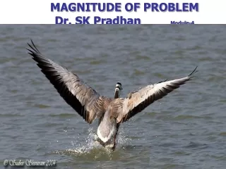 MAGNITUDE OF PROBLEM Dr. SK Pradhan          Module-4