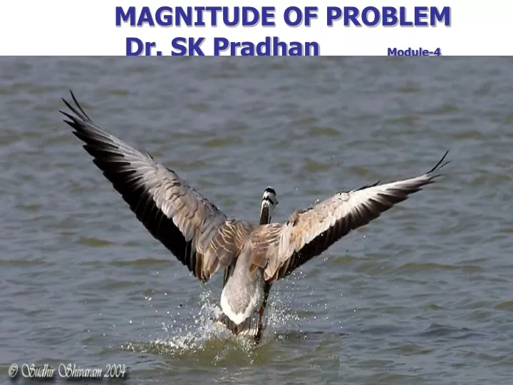 magnitude of problem dr sk pradhan module 4