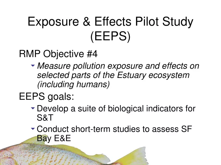 exposure effects pilot study eeps