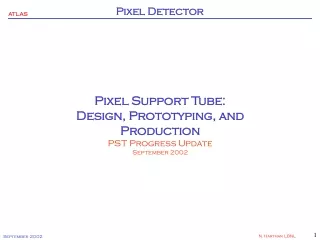 Pixel Support Tube: Design, Prototyping, and Production PST Progress Update September 2002