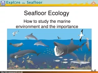 Seafloor Ecology