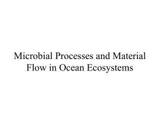 Microbial Processes and Material Flow in Ocean Ecosystems