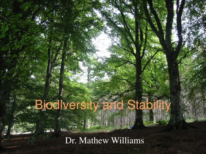 biodiversity and stability