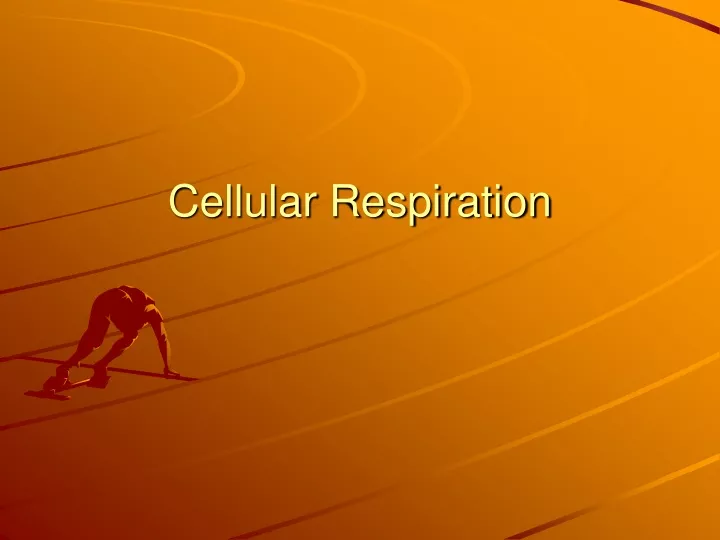 cellular respiration