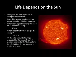 Life Depends on the Sun