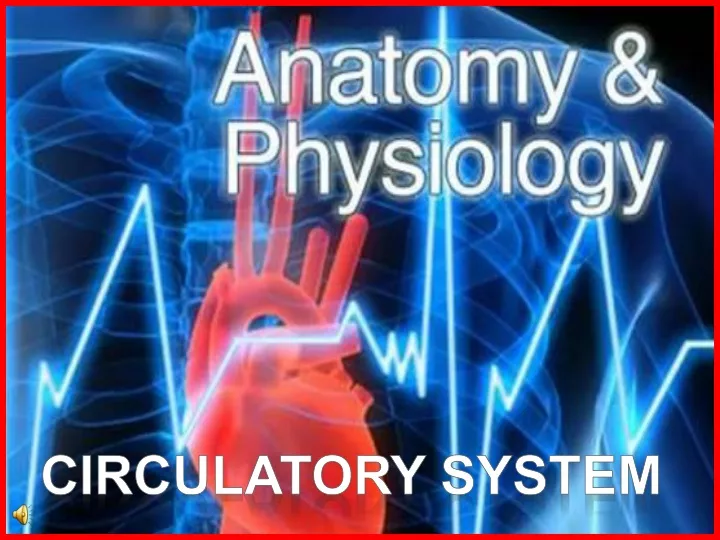 circulatory system