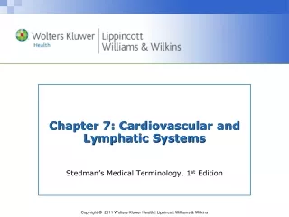 Chapter 7:  Cardiovascular and Lymphatic Systems