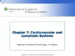 Chapter 7:  Cardiovascular and Lymphatic Systems