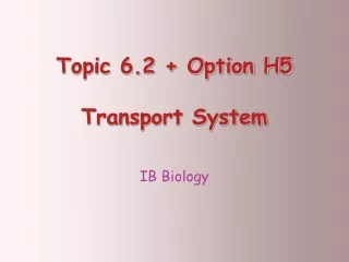 Topic 6.2 + Option H5  Transport System