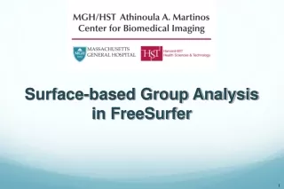 Surface-based Group Analysis in FreeSurfer