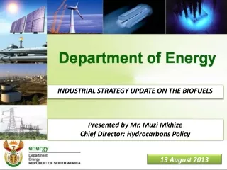 INDUSTRIAL STRATEGY UPDATE ON THE BIOFUELS