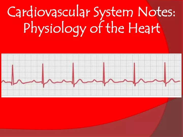cardiovascular system notes physiology