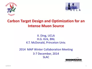 Carbon Target Design and Optimization for an Intense Muon Source
