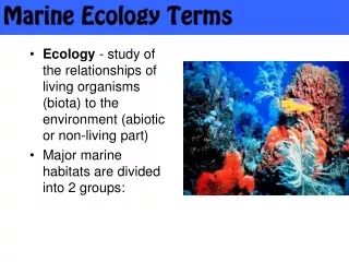 Marine Ecology Terms