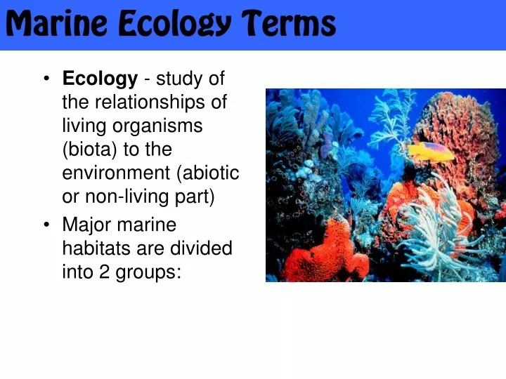 marine ecology terms