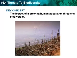 KEY CONCEPT  The impact of a growing human population threatens biodiversity.