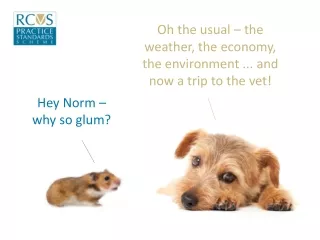 Hey Norm – why so glum?