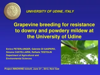 Grapevine breeding for resistance to downy and powdery mildew at the University of Udine