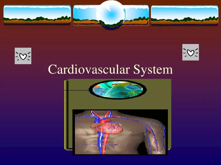 cardiovascular system