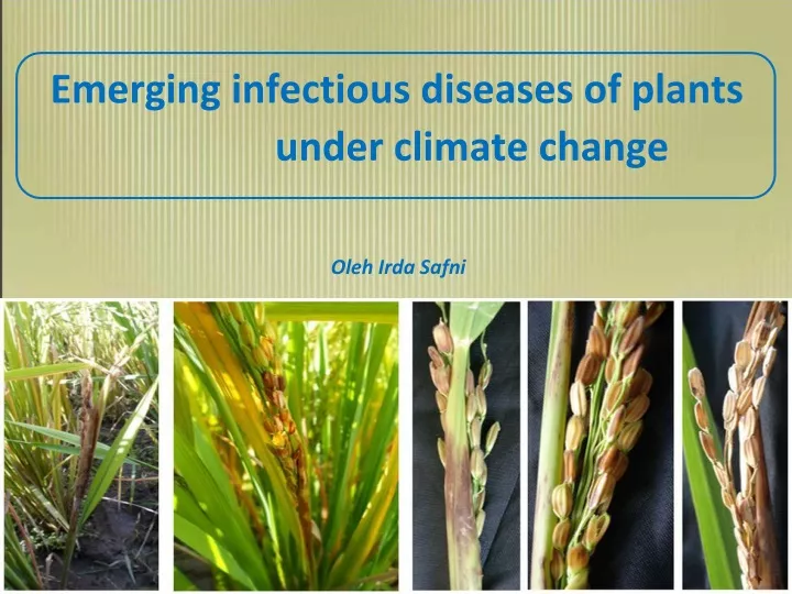 emerging infectious diseases of plants under climate change