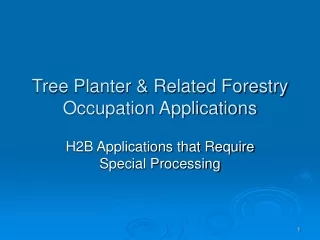Tree Planter &amp; Related Forestry Occupation Applications