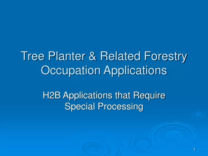 tree planter related forestry occupation applications