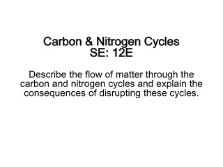 Carbon &amp; Nitrogen Cycles  SE: 12E