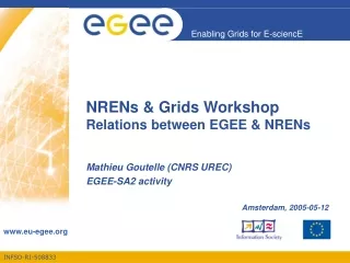 NRENs &amp; Grids Workshop Relations between EGEE &amp; NRENs