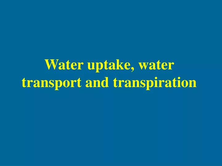 water uptake water transport and transpiration