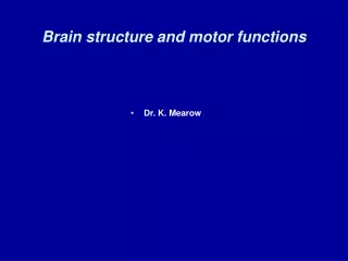 Brain structure and motor functions