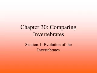 Chapter 30: Comparing Invertebrates