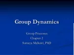 PPT - GROUP DYNAMICS PowerPoint Presentation, free download - ID:262970