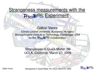 Strangeness measurements with the  Experiment