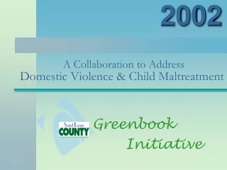 A Collaboration to Address Domestic Violence &amp; Child Maltreatment